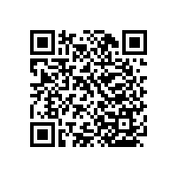 醫(yī)用靠墻塑料扶手當裝飾也不錯哦！