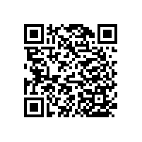 醫(yī)院墻壁扶手可定制批發(fā)【藍(lán)品盾】