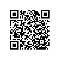 醫(yī)院入墻式木扶手采用哪些材質(zhì)？【藍(lán)品盾】