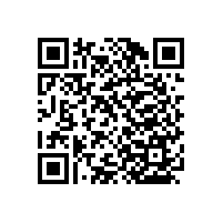 醫(yī)院入墻式木扶手/承重力強(qiáng)可訂制【藍(lán)品盾】