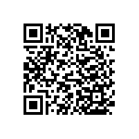 優(yōu)雅設(shè)計(jì)木質(zhì)扶手衛(wèi)生間-藍(lán)品盾廠銷