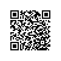 醫(yī)院通道安全扶手-簡便的款式【藍(lán)品盾】