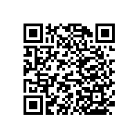 醫(yī)院衛(wèi)生間防滑扶手實用又簡潔【藍(lán)品盾】