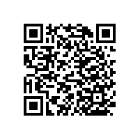 醫(yī)院衛(wèi)生間扶手【藍(lán)品盾】