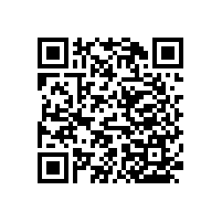 醫(yī)用無障礙扶手安全性能高嗎？【藍(lán)品盾】