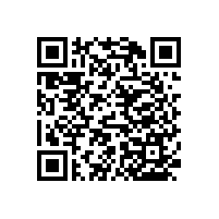 醫(yī)院無障礙扶手【藍(lán)品盾】