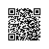 醫(yī)用無障礙防撞扶手哪些比較實用【藍(lán)品盾】