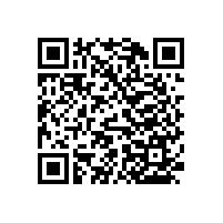 醫(yī)院用靠墻扶手的重要性【藍(lán)品盾】