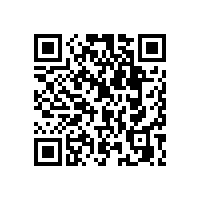 醫(yī)院、養(yǎng)老院、福利院的室內(nèi)衛(wèi)生間無障礙扶手-藍(lán)品盾