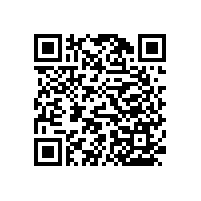 醫(yī)用走到扶手可起到防腐作用【藍(lán)品盾】