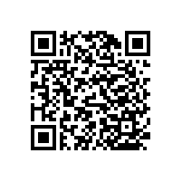 醫(yī)院專用扶手常用的款式有多少種？【藍(lán)品盾】