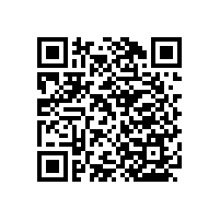 一字衛(wèi)浴扶手日常防滑小助手【藍(lán)品盾】