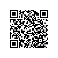 一字型無障礙扶手--真是哪都能安裝哦【藍品盾】