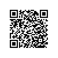 坐便器殘疾人扶手款式簡(jiǎn)約【藍(lán)品盾】