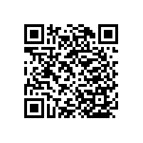 坐便器老人扶手架簡(jiǎn)約不占空間【藍(lán)品盾】