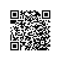 坐便器旁邊墻上扶手的N多種選擇【藍品盾】