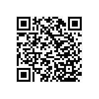 折疊無障礙的扶手簡約款不占空間【藍(lán)品盾】