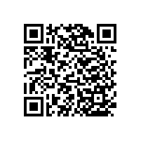 浙江醫(yī)用扶手廠家-藍(lán)品盾這款效果就挺好