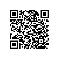 怎么樣的衛(wèi)生間防滑扶手好【藍(lán)品盾】