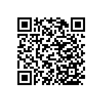 【重慶】無(wú)障礙扶手-大批量選購(gòu)請(qǐng)選擇藍(lán)品盾廠家直銷