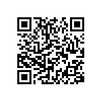 在 “死神保姆”事件下反映出來的中國市場