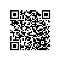 怎樣做衛(wèi)生間內(nèi)的防護(hù)？廁所老人扶手【藍(lán)品盾】