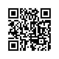 深圳蛇口集裝箱碼頭采購杭州叉車案例