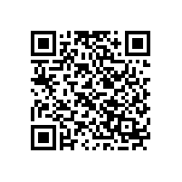 廠家分析汽車音響喇叭為什么不響