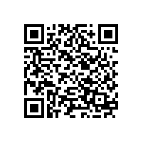 喇叭有多少芯是什么意思？