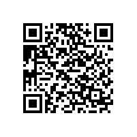 妙招教您避免損壞和燒毀汽車高音喇叭