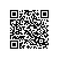 揚聲器振膜形狀分類的特點