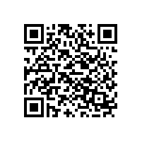 毅廷YDG喇叭超前的開發思路