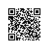 毅廷音響教你汽車喇叭的分類