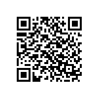 音響廠的喇叭自己做還是交給專業的喇叭廠？