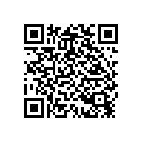 專業(yè)音響設(shè)備進(jìn)駐政府文化下鄉(xiāng)設(shè)備【爵士龍音響】