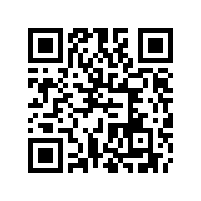 貓籠-新手養(yǎng)貓注意的事項(xiàng)有哪些-南通遠(yuǎn)揚(yáng)