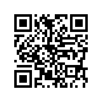 貓籠子-貓最常見的肥胖問題-南通遠揚