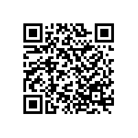 什么是轉(zhuǎn)子泵在線維護（mip）