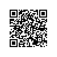 有關(guān)李文鎖城公司品牌建設(shè)與連鎖店管理方面的建議