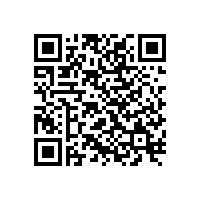 中央電視臺(tái)現(xiàn)場(chǎng)錄制防盜宣傳節(jié)目——李文鎖城