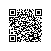 閬中李文鎖城楊斌