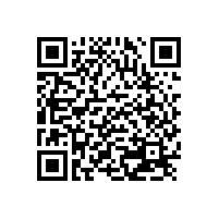 門業(yè)定制化將催生鎖具定制化