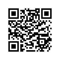 異地購買電動吊車多少錢一臺，售后維修怎么保障