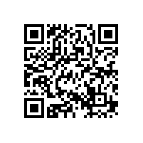 重慶市社會治安綜合治理信息系統(tǒng)項目建設管理代理機構(17C1601)采購公告（重慶）