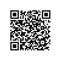 惠州市代建項目管理局惠州市隆生大橋東棚戶區(qū)改造安置房智能化系統(tǒng)項目采購成交公告（惠州）