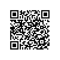 丹寨縣燈桿安裝鳥(niǎo)籠式燈籠（二次）中標(biāo)公告（黔東南）