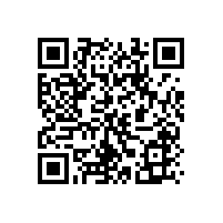 奉節(jié)縣新縣城庫岸綜合整治工程(寶塔坪特大橋)施工圖設(shè)計(jì)文件審查招標(biāo)公告（重慶）