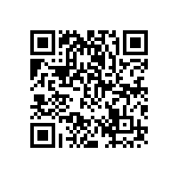 PPP項(xiàng)目?jī)稍u(píng)流于形式的原因（四）：咨詢機(jī)構(gòu)和專家缺乏專業(yè)性與獨(dú)立性