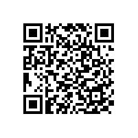 湖北省財(cái)政廳：關(guān)于印發(fā)湖北省政府集中采購(gòu)目錄及標(biāo)準(zhǔn)（2025年版）的通知