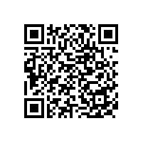 湖南省岳阳市地方税务局金税工程智能办公系统服务政府采购项目中标公告(岳阳)